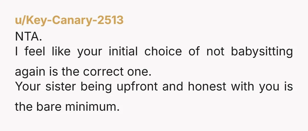 u/Key-Canary-2513 NTA. I feel like your initial choice of not babysitting again is the correct one. Your sister being upfront and honest with you is the bare minimum.