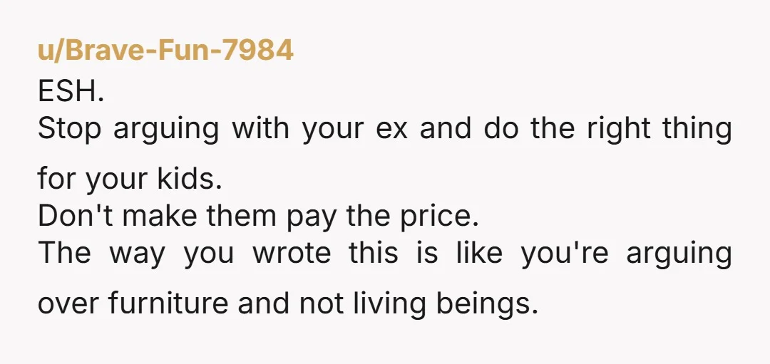 u/Brave-Fun-7984 ESH. Stop arguing with your ex and do the right thing for your kids. Don't make them pay the price. The way you wrote this is like you're arguing...