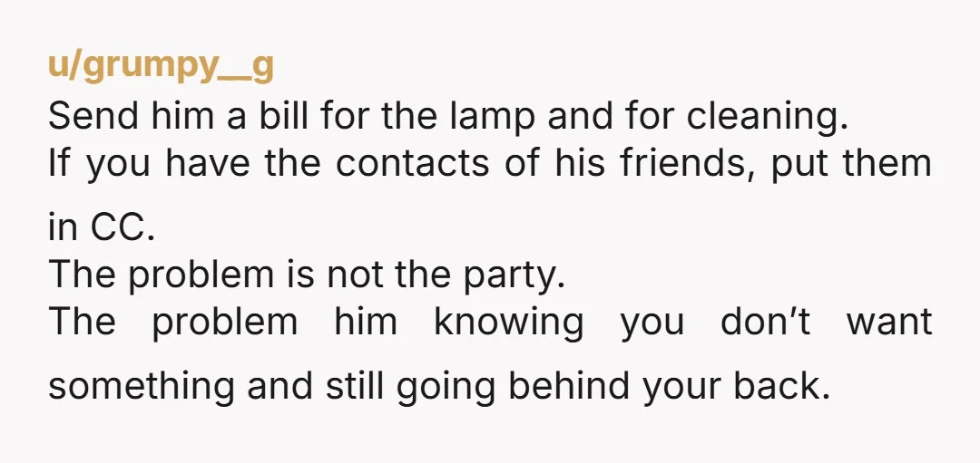 u/grumpy__g Send him a bill for the lamp and for cleaning. If you have the contacts of his friends, put them in CC. The problem is not the party. The...