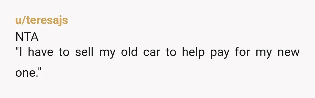 u/teresajs
NTA
"I have to sell my old car to help pay for my new one."