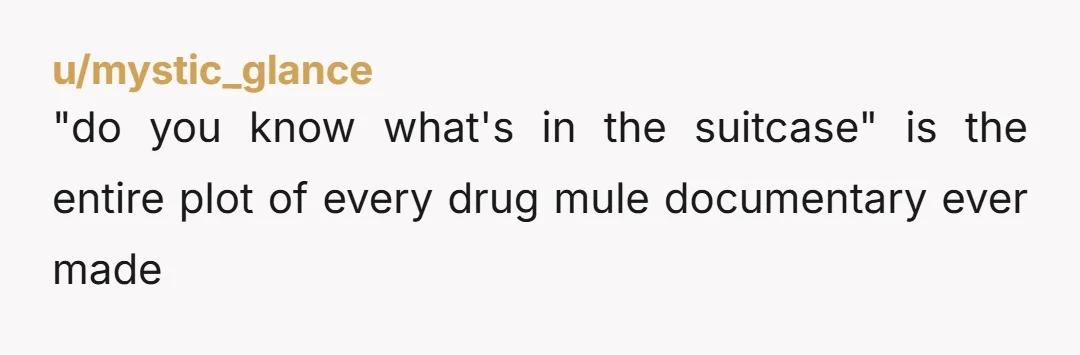 u/mystic_glance
"do you know what's in the suitcase" is the entire plot of every drug mule documentary ever made