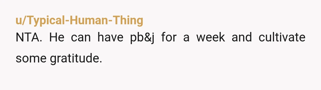 u/Typical-Human-Thing
NTA. He can have pb&j for a week and cultivate some gratitude.