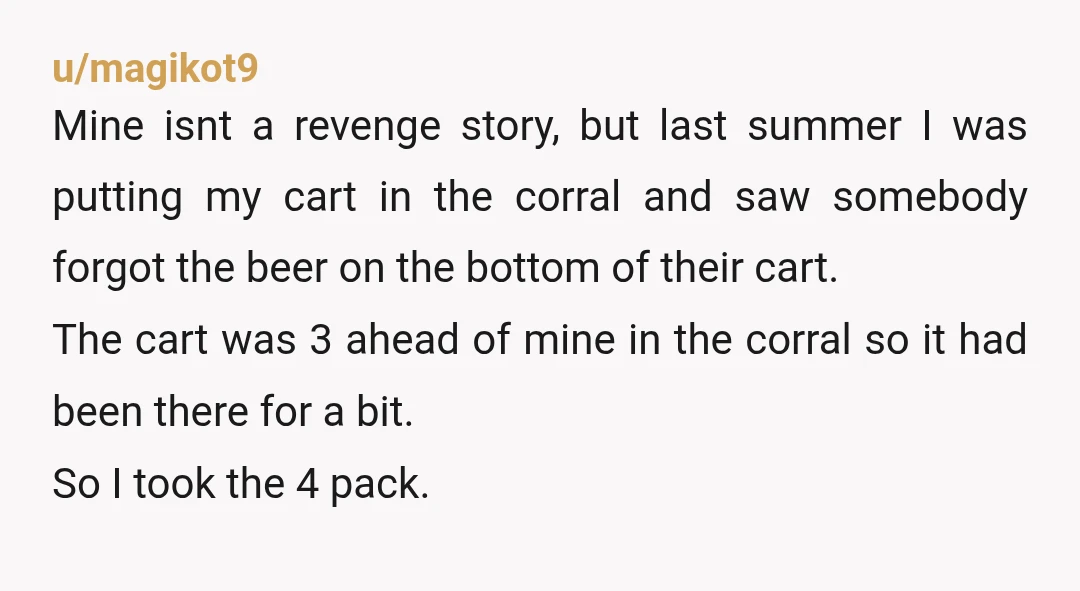 u/magikot9 Mine isnt a revenge story, but last summer I was putting my cart in the corral and saw somebody forgot the beer on the bottom of their cart. The...