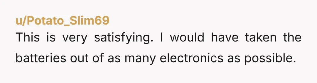 u/Potato_Slim69 This is very satisfying. I would have taken the batteries out of as many electronics as possible.