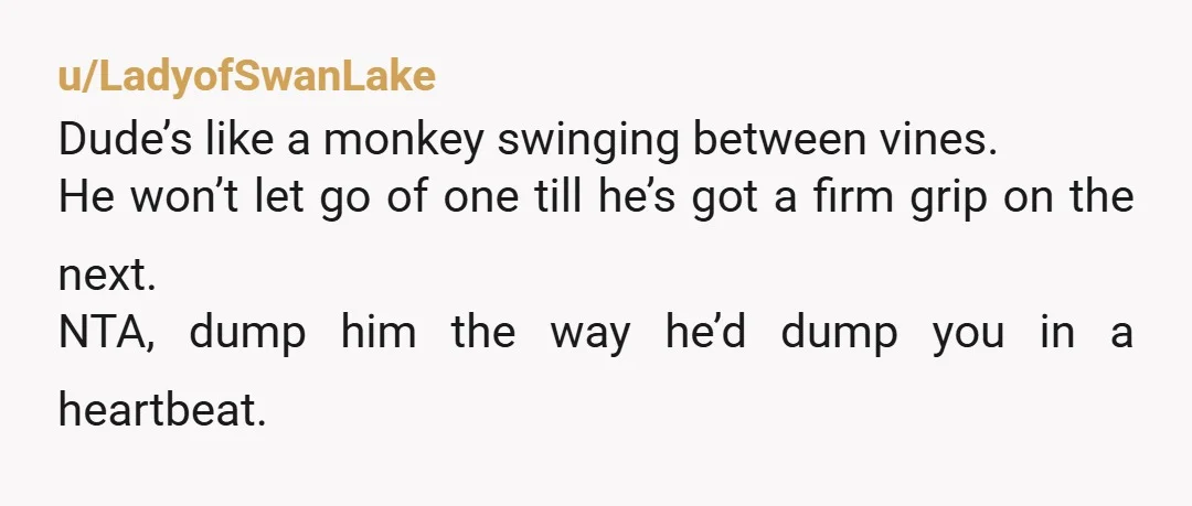 u/LadyofSwanLake Dude’s like a monkey swinging between vines. He won’t let go of one till he’s got a firm grip on the next. NTA, dump him the way he’d dump...