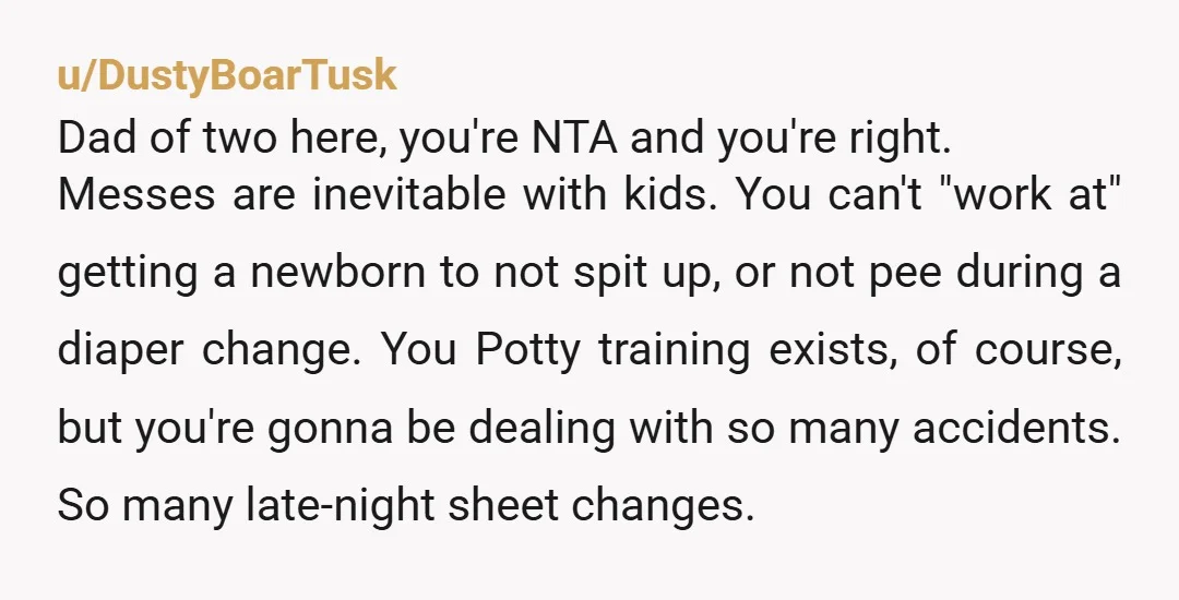 u/DustyBoarTusk Dad of two here, you're NTA and you're right. Messes are inevitable with kids. You can't "work at" getting a newborn to not spit up, or not pee during...