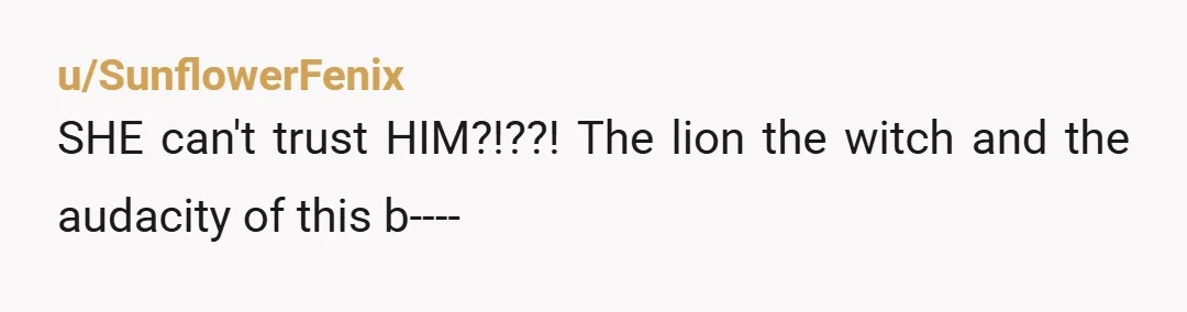 u/SunflowerFenix
SHE can't trust HIM?!??! The lion the witch and the audacity of this b----