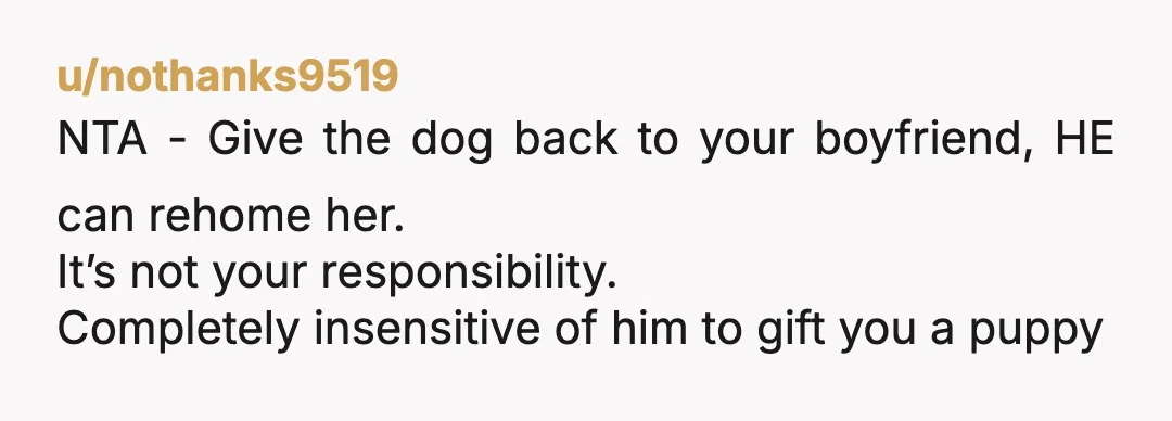 u/nothanks9519
NTA - Give the dog back to your boyfriend, HE can rehome her.
It’s not your responsibility.
Completely insensitive of him to gift you a puppy