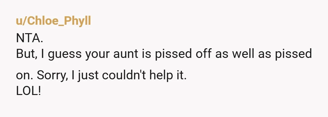 u/Chloe_Phyll
NTA.
But, I guess your aunt is pissed off as well as pissed on. Sorry, I just couldn't help it.
LOL!