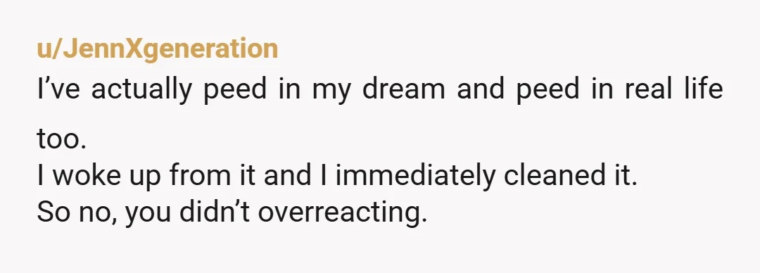 u/JennXgeneration
I’ve actually peed in my dream and peed in real life too.
I woke up from it and I immediately cleaned it.
So no, you didn’t overreacting.