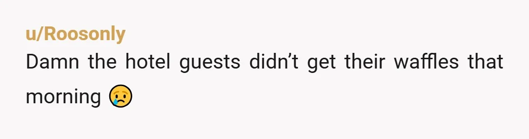 u/Roosonly
Damn the hotel guests didn’t  get their waffles that morning 😢
