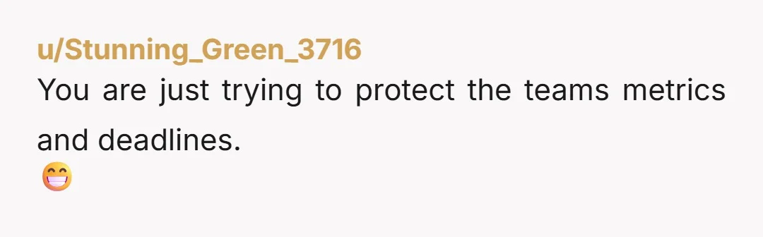 u/Stunning_Green_3716
You are just trying to protect the teams metrics and deadlines.
😁