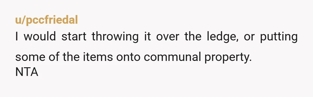 u/pccfriedal
I would start throwing it over the ledge, or putting some of the items onto communal property.
NTA
