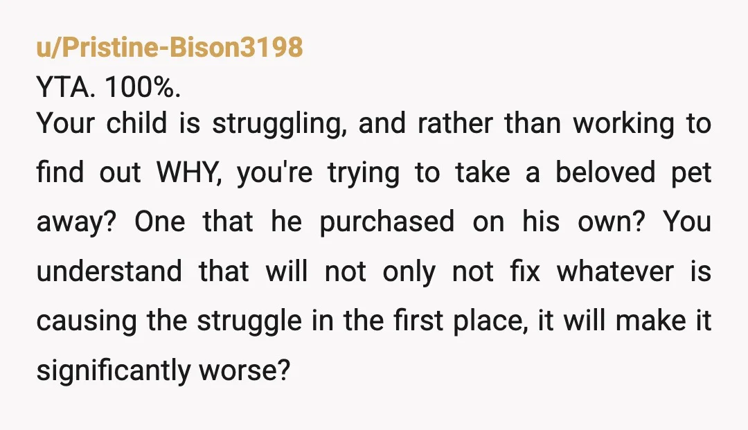 u/Pristine-Bison3198 YTA. 100%. Your child is struggling, and rather than working to find out WHY, you're trying to take a beloved pet away? One that he purchased on his own?...