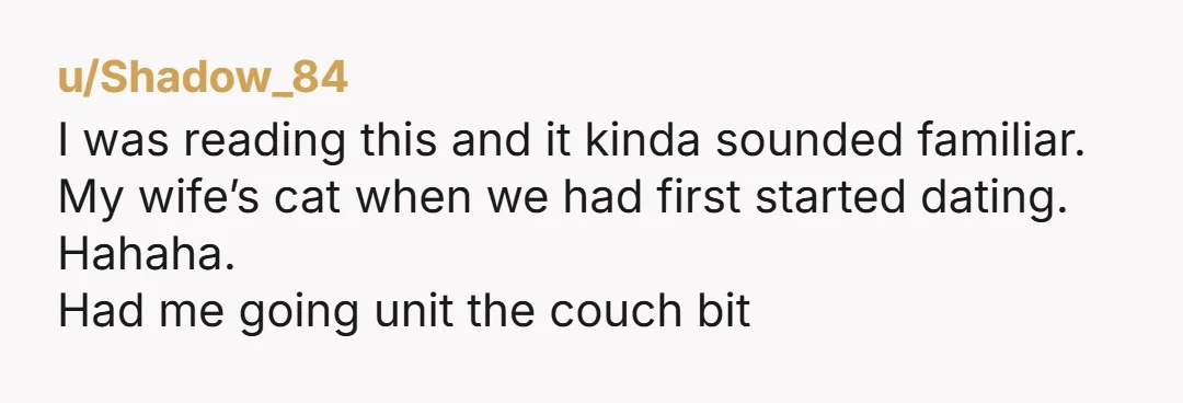u/Shadow_84 I was reading this and it kinda sounded familiar. My wife’s cat when we had first started dating. Hahaha. Had me going unit the couch bit