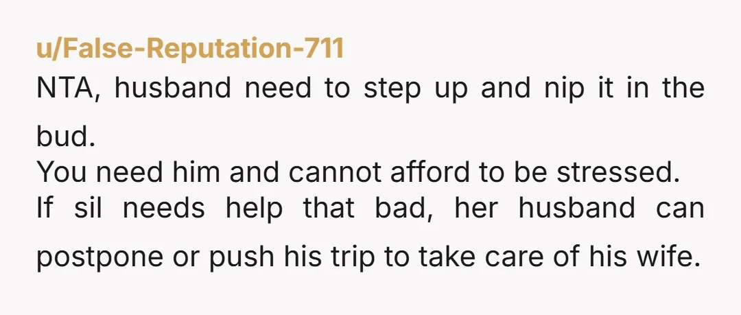 u/False-Reputation-711 NTA, husband need to step up and nip it in the bud. You need him and cannot afford to be stressed. If sil needs help that bad, her husband...