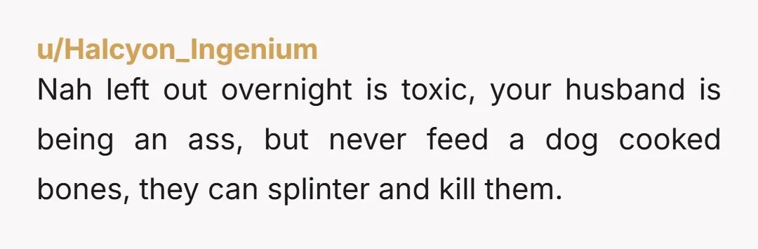 u/Halcyon_Ingenium Nah left out overnight is toxic, your husband is being an ass, but never feed a dog cooked bones, they can splinter and kill them.