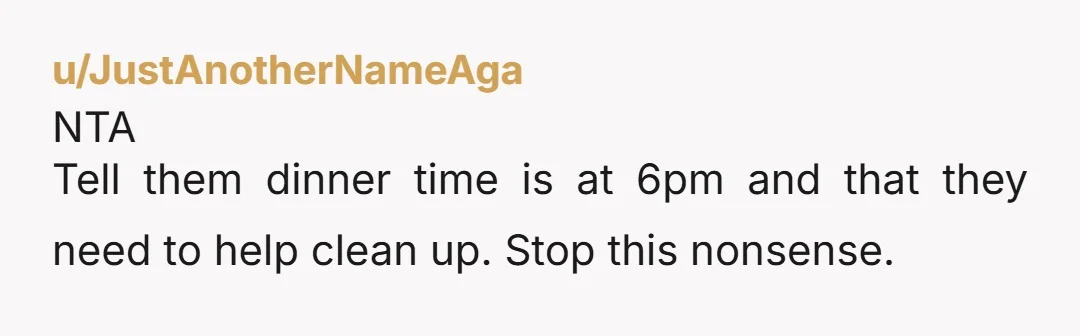 u/JustAnotherNameAga NTA Tell them dinner time is at 6pm and that they need to help clean up. Stop this nonsense.