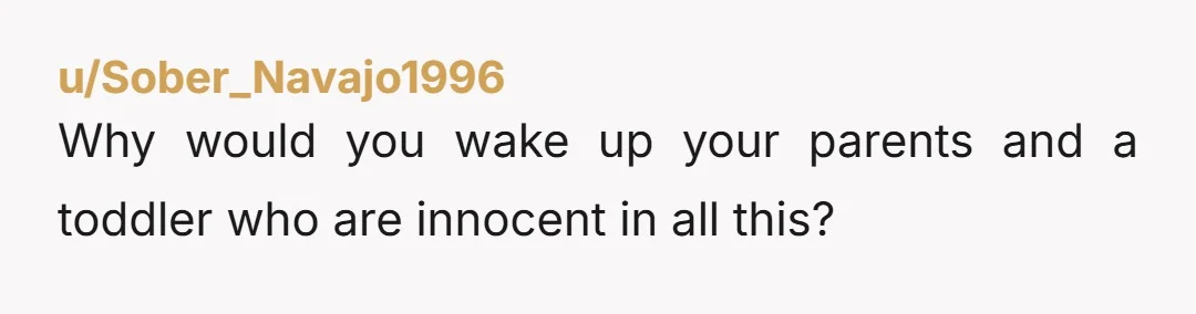 u/Sober_Navajo1996
Why would you wake up your parents and a toddler who are innocent in all this?