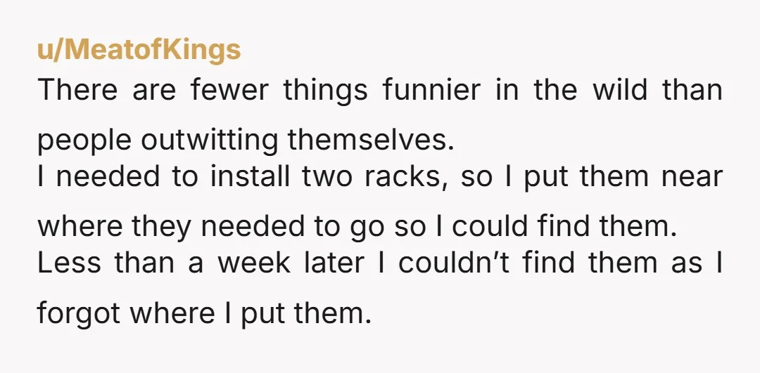 u/MeatofKings There are fewer things funnier in the wild than people outwitting themselves. I needed to install two racks, so I put them near where they needed to go so...
