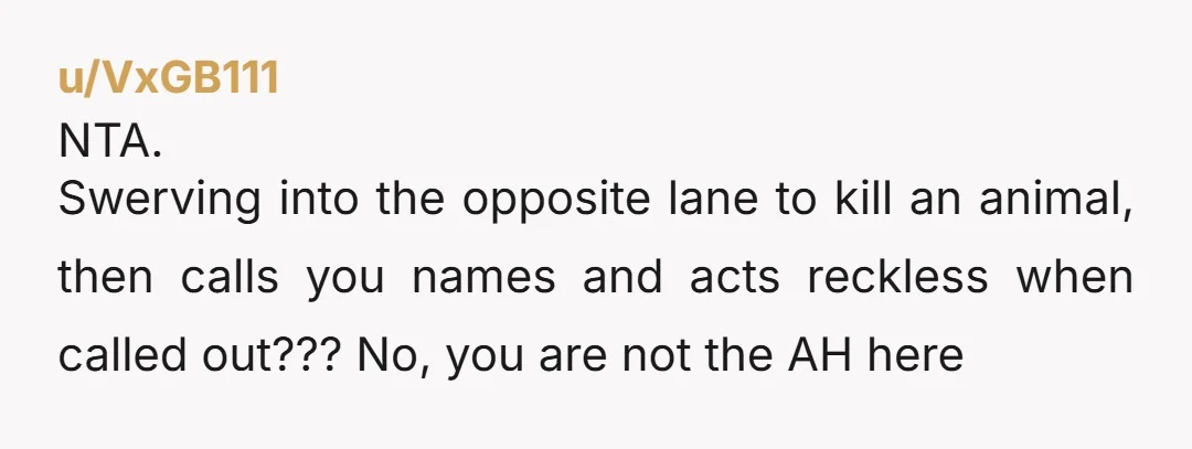 u/VxGB111
NTA.
Swerving into the opposite lane to kill an animal, then calls you names and acts reckless when called out??? No, you are not the AH here