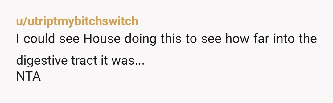 u/cathyclare A gentle YTA. Do I agree that it's amusing that it still worked? Yes. Was this the right time to make light of what for them is a scary...