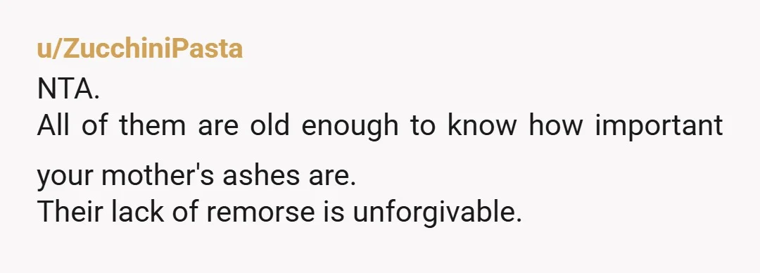 u/ZucchiniPasta NTA. All of them are old enough to know how important your mother's ashes are. Their lack of remorse is unforgivable.
