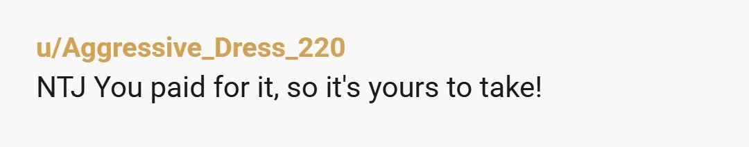 u/Aggressive_Dress_220
NTJ  You paid for it, so it's yours to take!