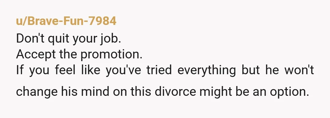 u/Brave-Fun-7984
Don't quit your job.
Accept the promotion.
If you feel like you've tried everything but he won't change his mind on this divorce might be an option.
