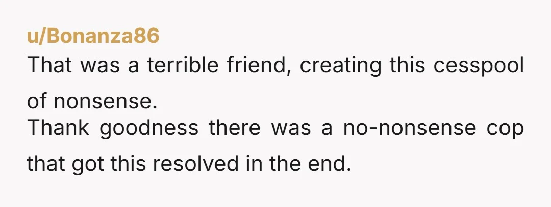 u/Bonanza86 That was a terrible friend, creating this cesspool of nonsense. Thank goodness there was a no-nonsense cop that got this resolved in the end.