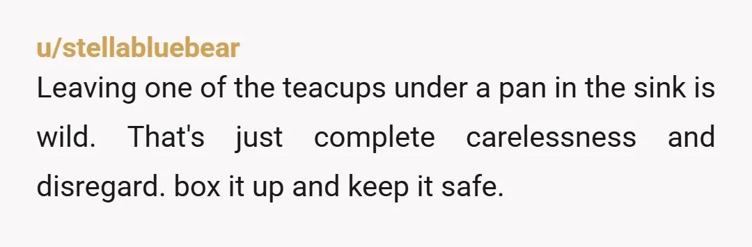 u/stellabluebear
Leaving one of the teacups under a pan in the sink is wild. That's just complete carelessness and disregard. box it up and keep it safe.