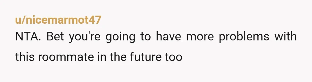 u/nicemarmot47
NTA. Bet you're going to have more problems with this roommate in the future too