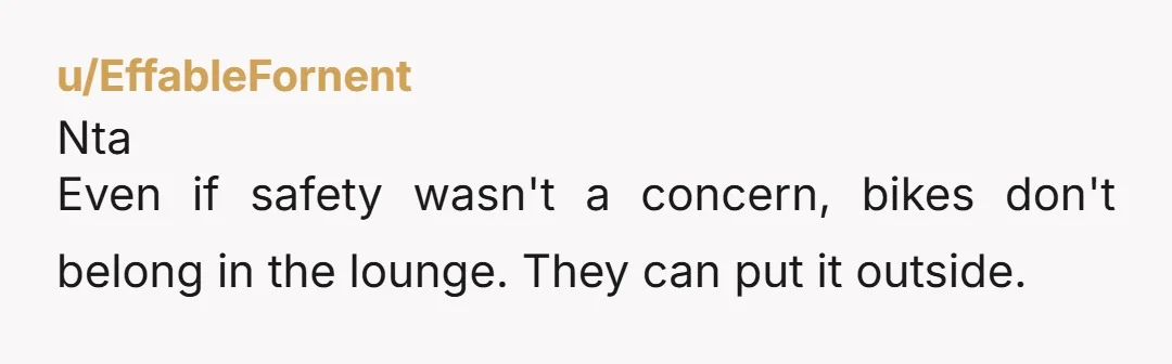 u/EffableFornent Nta Even if safety wasn't a concern, bikes don't belong in the lounge. They can put it outside. 
