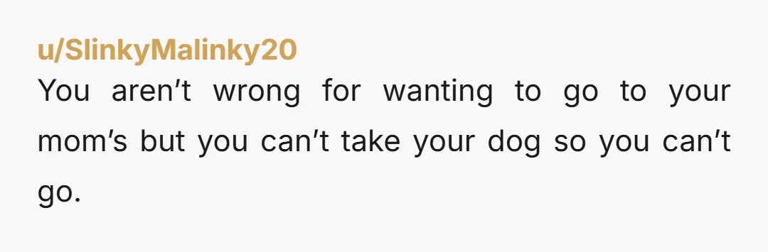 u/SlinkyMalinky20 You aren’t wrong for wanting to go to your mom’s but you can’t take your dog so you can’t go.
