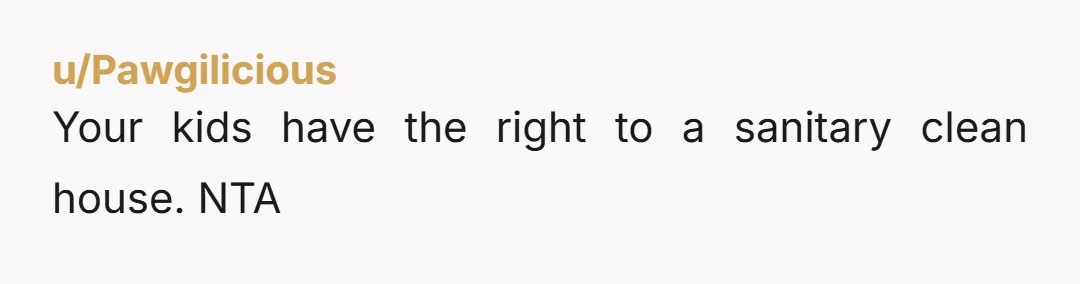 u/Pawgilicious
Your kids have the right to a sanitary clean house. NTA