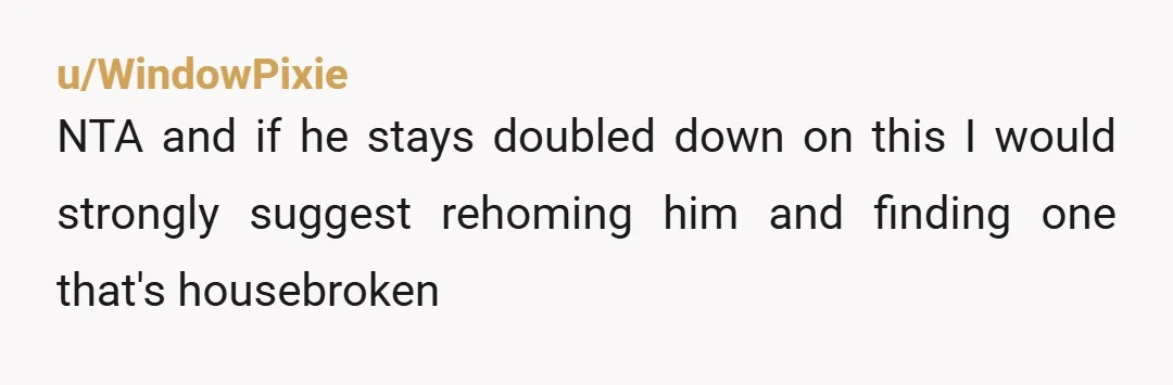 u/WindowPixie
NTA and if he stays doubled down on this I would strongly suggest rehoming him and finding one that's housebroken