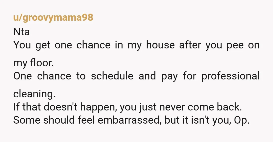 u/groovymama98 Nta You get one chance in my house after you pee on my floor. One chance to schedule and pay for professional cleaning. If that doesn't happen, you just...