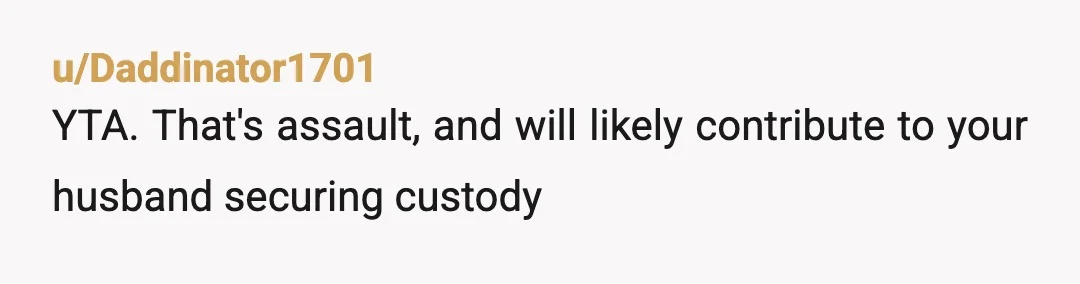 u/Daddinator1701
YTA. That's assault, and will likely contribute to your husband securing custody