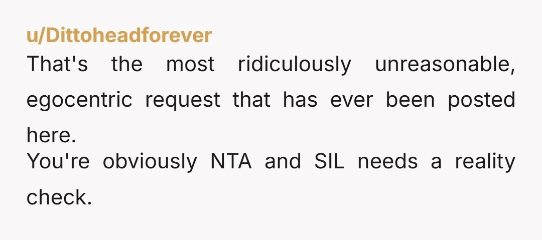 u/Dittoheadforever That's the most ridiculously unreasonable, egocentric request that has ever been posted here. You're obviously NTA and SIL needs a reality check.
