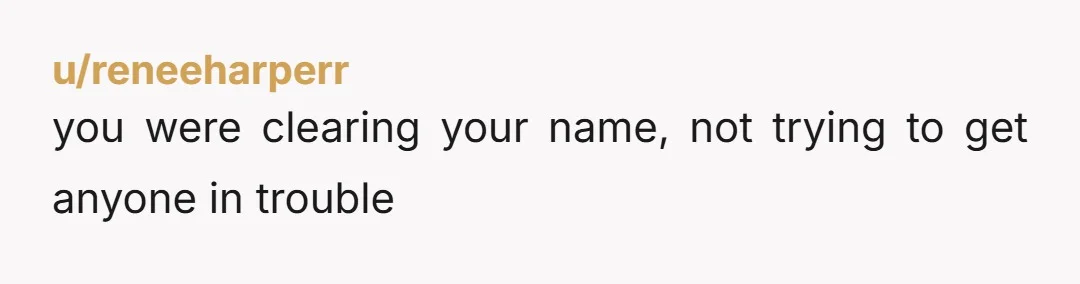 u/reneeharperr you were clearing your name, not trying to get anyone in trouble
