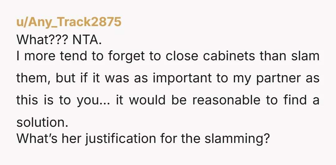 u/Any_Track2875 What??? NTA. I more tend to forget to close cabinets than slam them, but if it was as important to my partner as this is to you… it would...