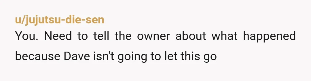 u/VindiBirch The next day: "Omg you were so right! The owner did need to know, so I spoke to him and he said he would have some follow up questions...