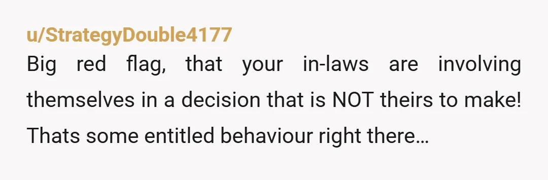 u/StrategyDouble4177 Big red flag, that your in-laws are involving themselves in a decision that is NOT theirs to make! Thats some entitled behaviour right there… Your mom wouldn’t be safe...