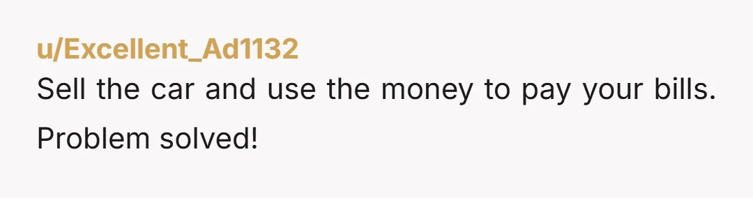 u/Excellent_Ad1132
Sell the car and use the money to pay your bills.  Problem solved!