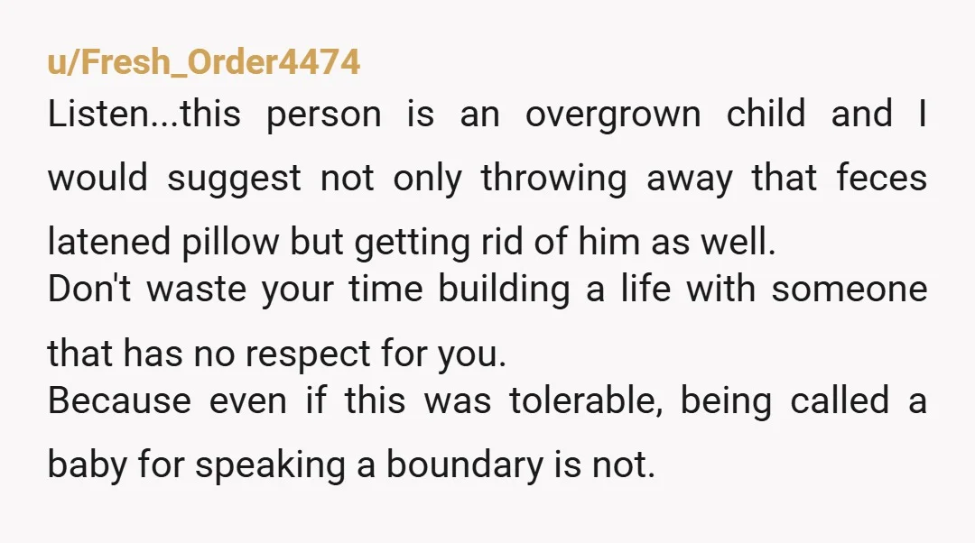 u/Fresh_Order4474 Listen...this person is an overgrown child and I would suggest not only throwing away that feces latened pillow but getting rid of him as well. Don't waste your time...