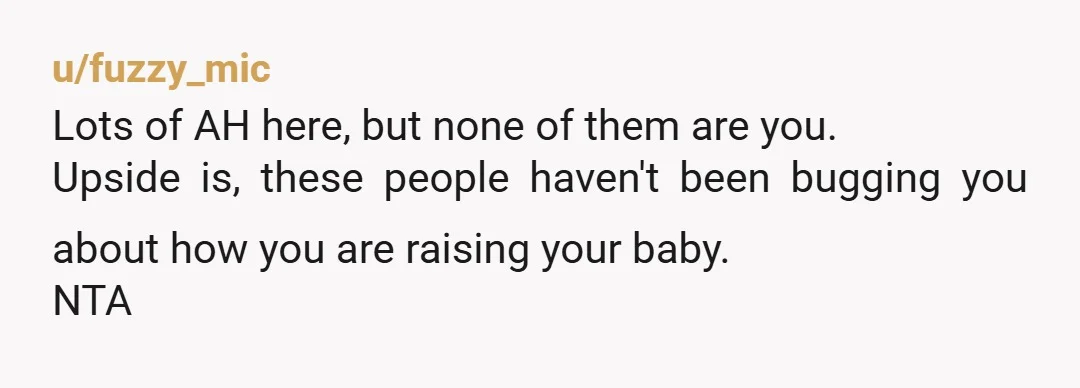 u/fuzzy_mic
Lots of AH here, but none of them are you.
Upside is, these people haven't been bugging you about how you are raising your baby.
NTA