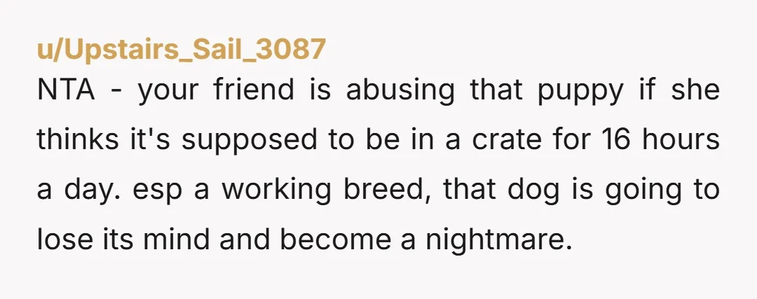 u/Upstairs_Sail_3087 NTA - your friend is abusing that puppy if she thinks it's supposed to be in a crate for 16 hours a day. esp a working breed, that dog...