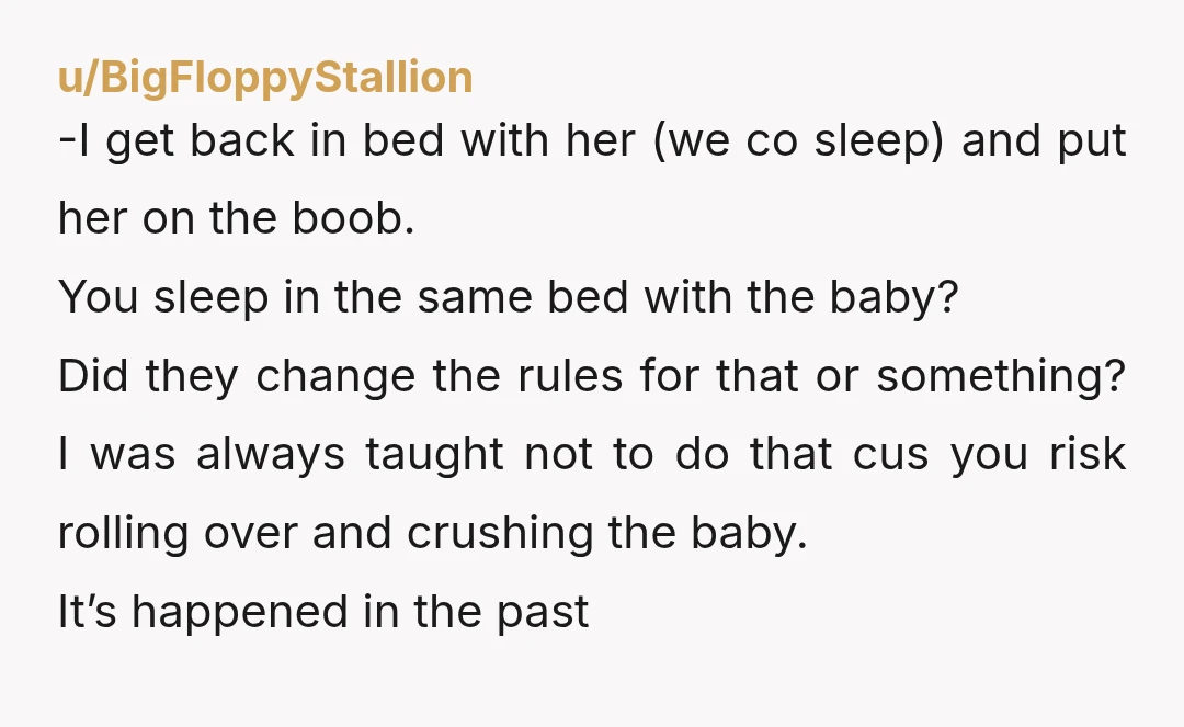 u/Sorry_Had_To_Be_Said I'm I missing something?? What is he doing during all of this?? Even if you are left to tend to the baby why can't he take care of the...