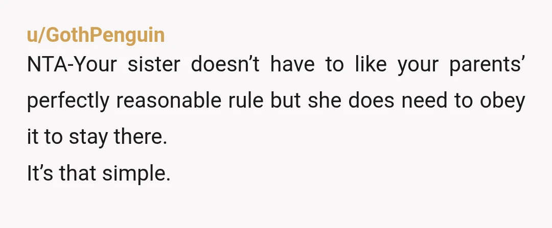 u/ICXPDQ NTA - Their house, their rules. You respect the rules. Your sister doesn't. Consequences ensue. She moves out and has sex with whomever the heck she wants. Life goes...