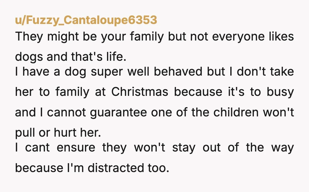 u/Fuzzy_Cantaloupe6353 They might be your family but not everyone likes dogs and that's life.  I have a dog super well behaved but I don't take her to family at Christmas...